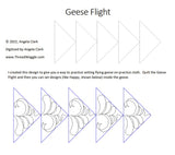 Geese Flight